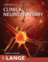 Neuroanatomie clinique, vingt-neuvième édition - Clinical Neuroanatomy, Twentyninth Edition