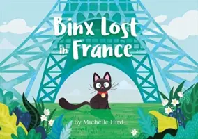 Binx perdue en France - Binx Lost in France