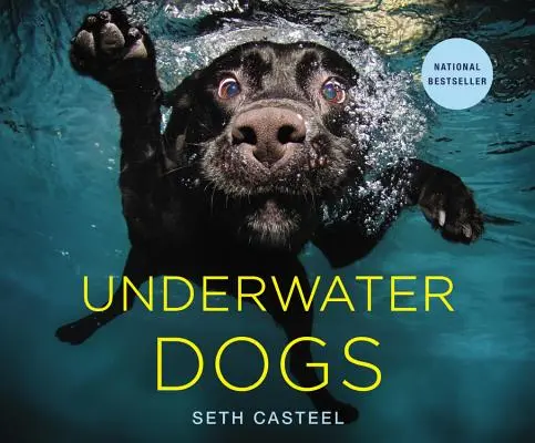 Chiens sous-marins - Underwater Dogs