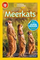 Suricates - Meerkats