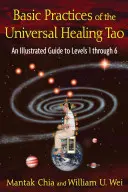 Pratiques de base du Tao universel de guérison : Guide illustré des niveaux 1 à 6 - Basic Practices of the Universal Healing Tao: An Illustrated Guide to Levels 1 Through 6