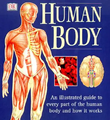 Le corps humain : Un guide illustré de chaque partie du corps humain et de son fonctionnement - The Human Body: An Illustrated Guide to Every Part of the Human Body and How It Works