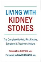 Vivre avec des calculs rénaux : Guide complet des facteurs de risque, des symptômes et des options de traitement - Living with Kidney Stones: Complete Guide to Risk Factors, Symptoms & Treatment Options