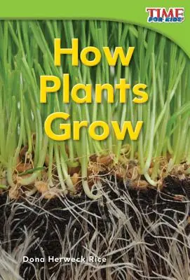 Comment les plantes poussent - How Plants Grow