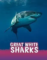 Les grands requins blancs - Great White Sharks