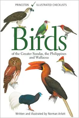 Oiseaux de la Grande Sonde, des Philippines et de Wallacea - Birds of the Greater Sundas, the Philippines, and Wallacea