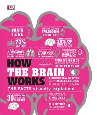 Le fonctionnement du cerveau : Les faits expliqués visuellement - How the Brain Works: The Facts Visually Explained
