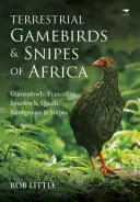 Oiseaux de chasse terrestres et bécassines d'Afrique : Pintades, Francolins, Tétras, Cailles, Gélinottes et Bécassines - Terrestrial Gamebirds & Snipes of Africa: Guineafowls, Francolins, Spurfowls, Quails, Sandgrouse & Snipes