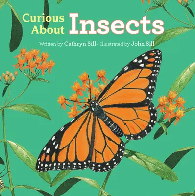 Curieux des insectes - Curious about Insects