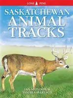 Traces d'animaux en Saskatchewan - Saskatchewan Animal Tracks