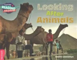 S'occuper des animaux Bandeau rose B - Looking After Animals Pink B Band