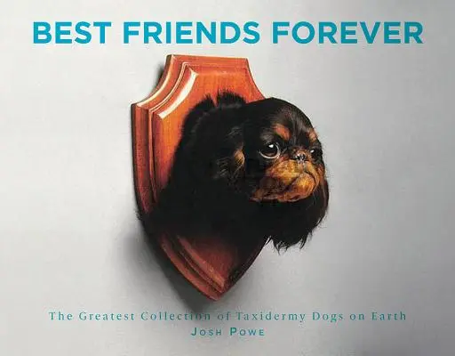 Best Friends Forever : La plus grande collection de chiens taxidermisés au monde - Best Friends Forever: The Greatest Collection of Taxidermy Dogs on Earth