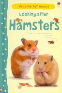 S'occuper des hamsters - Looking after Hamsters