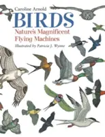 Les oiseaux : Les magnifiques machines volantes de la nature - Birds: Nature's Magnificent Flying Machines