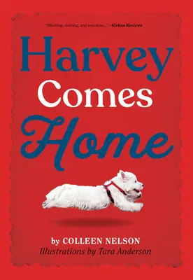 Harvey rentre à la maison - Harvey Comes Home