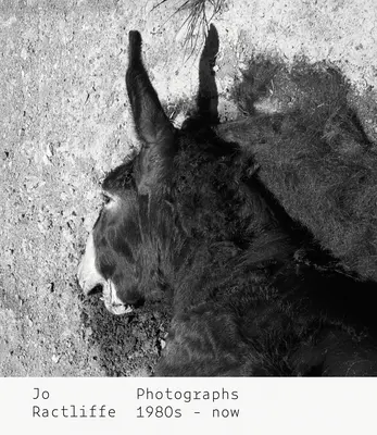 Jo Ractliffe : Photographies des années 1980 à aujourd'hui - Jo Ractliffe: Photographs 1980s-Now