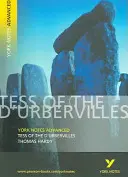Tess of the D'Urbervilles : York Notes Advanced - tout ce dont vous avez besoin pour rattraper votre retard, étudier et vous préparer aux évaluations de 2021 et aux examens de 2022 - Tess of the D'Urbervilles: York Notes Advanced - everything you need to catch up, study and prepare for 2021 assessments and 2022 exams