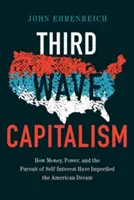 Le capitalisme de la troisième vague : comment l'argent, le pouvoir et la poursuite de l'intérêt personnel ont compromis le rêve américain - Third Wave Capitalism: How Money, Power, and the Pursuit of Self-Interest Have Imperiled the American Dream