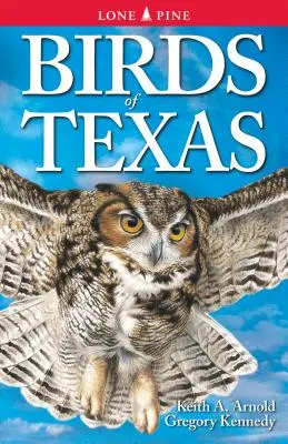 Oiseaux du Texas - Birds of Texas