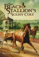 Le poulain boudeur de l'étalon noir - The Black Stallion's Sulky Colt