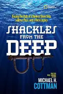 Les entraves des profondeurs : sur les traces d'un navire négrier englouti, d'un passé amer et d'un riche héritage - Shackles from the Deep: Tracing the Path of a Sunken Slave Ship, a Bitter Past, and a Rich Legacy