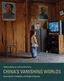 Les mondes disparus de la Chine : campagnes, traditions et espaces culturels - China's Vanishing Worlds: Countryside, Traditions, and Cultural Spaces