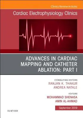 Progrès en matière de cartographie cardiaque et d'ablation par cathéter : Partie I, un numéro de Cardiac Electrophysiology Clinics, 11 - Advances in Cardiac Mapping and Catheter Ablation: Part I, an Issue of Cardiac Electrophysiology Clinics, 11