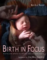 La naissance en point de mire : Histoires et photos pour informer, éduquer et inspirer - Birth in Focus: Stories and Photos to Inform, Educate and Inspire