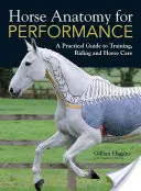 Anatomie du cheval pour la performance - Horse Anatomy for Performance