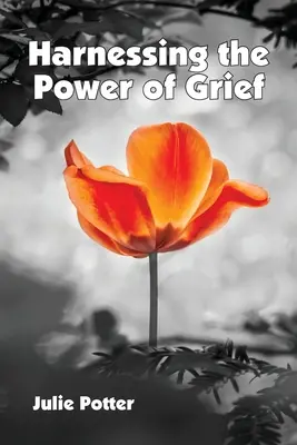 Exploiter le pouvoir du chagrin - Harnessing the Power of Grief