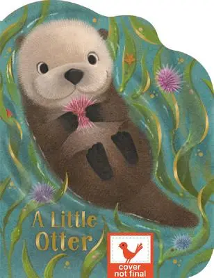 Une petite loutre - A Little Otter