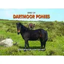 L'esprit des poneys de Dartmoor - Spirit of Dartmoor Ponies