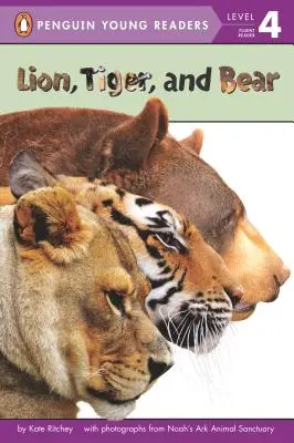 Lion, tigre et ours - Lion, Tiger, and Bear