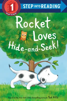 Rocket aime jouer à cache-cache ! - Rocket Loves Hide-And-Seek!