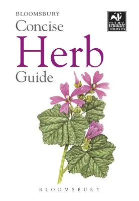 Guide concis des herbes - Concise Herb Guide