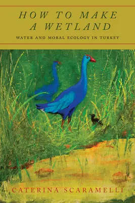 Comment créer une zone humide : L'eau et l'écologie morale en Turquie - How to Make a Wetland: Water and Moral Ecology in Turkey