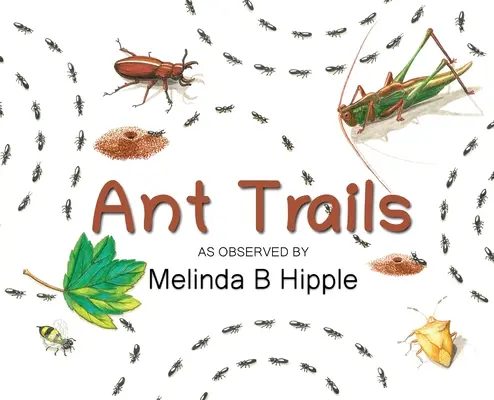 Pistes de fourmis - Ant Trails