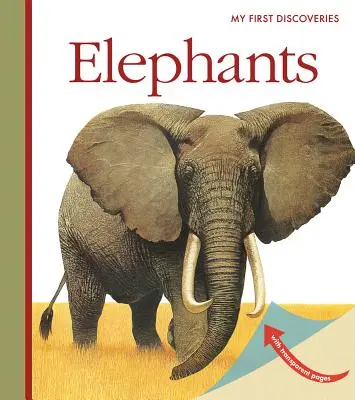 Les éléphants - Elephants