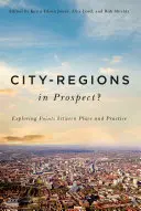 Les villes-régions dans Prospect ? Exploration des points de rencontre entre le lieu et la pratique - City-Regions in Prospect?: Exploring the Meeting Points Between Place and Practice