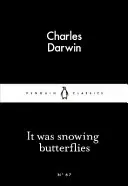 Il neigeait des papillons - It Was Snowing Butterflies