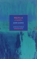 Melville : Un roman - Melville: A Novel