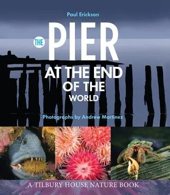 La jetée du bout du monde - The Pier at the End of the World