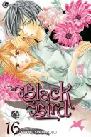 L'oiseau noir, volume 16 - Black Bird, Volume 16