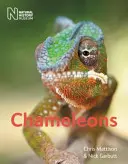 Caméléons - Chameleons