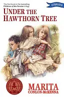 Sous l'aubépine - Les enfants de la famine - Under the Hawthorn Tree - Children of the Famine