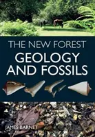 New Forest - Géologie et fossiles - New Forest - Geology and Fossils