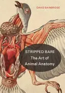 A nu : L'art de l'anatomie animale - Stripped Bare: The Art of Animal Anatomy