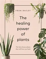 Le pouvoir de guérison des plantes - Les plantes d'intérieur du héros qui vous aiment en retour - Healing Power of Plants - The Hero House Plants that Love You Back
