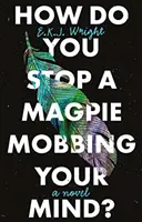 Comment empêcher une pie de s'emparer de votre esprit ? - How Do you Stop a Magpie Mobbing Your Mind?