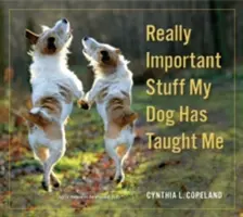 Les choses vraiment importantes que mon chien m'a apprises - Really Important Stuff My Dog Has Taught Me